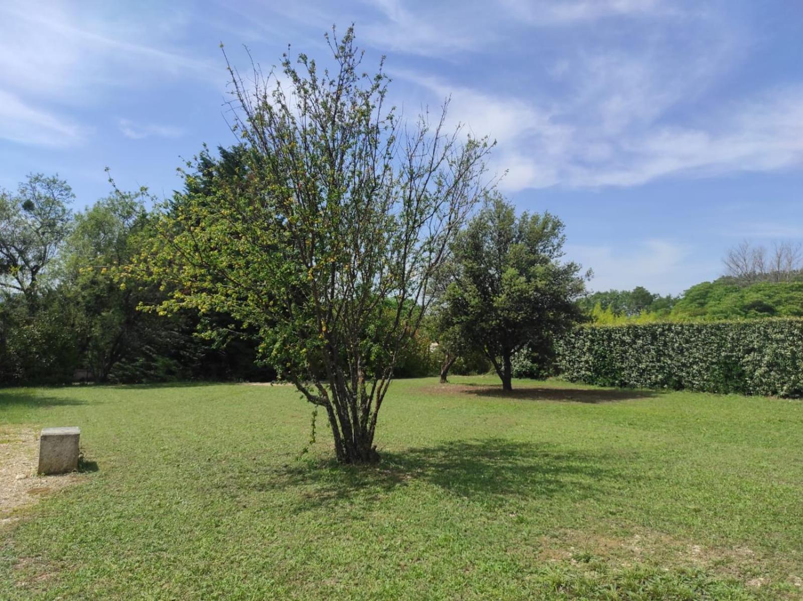 Villas De La Ferme Du Gros Noyer Malaucène エクステリア 写真