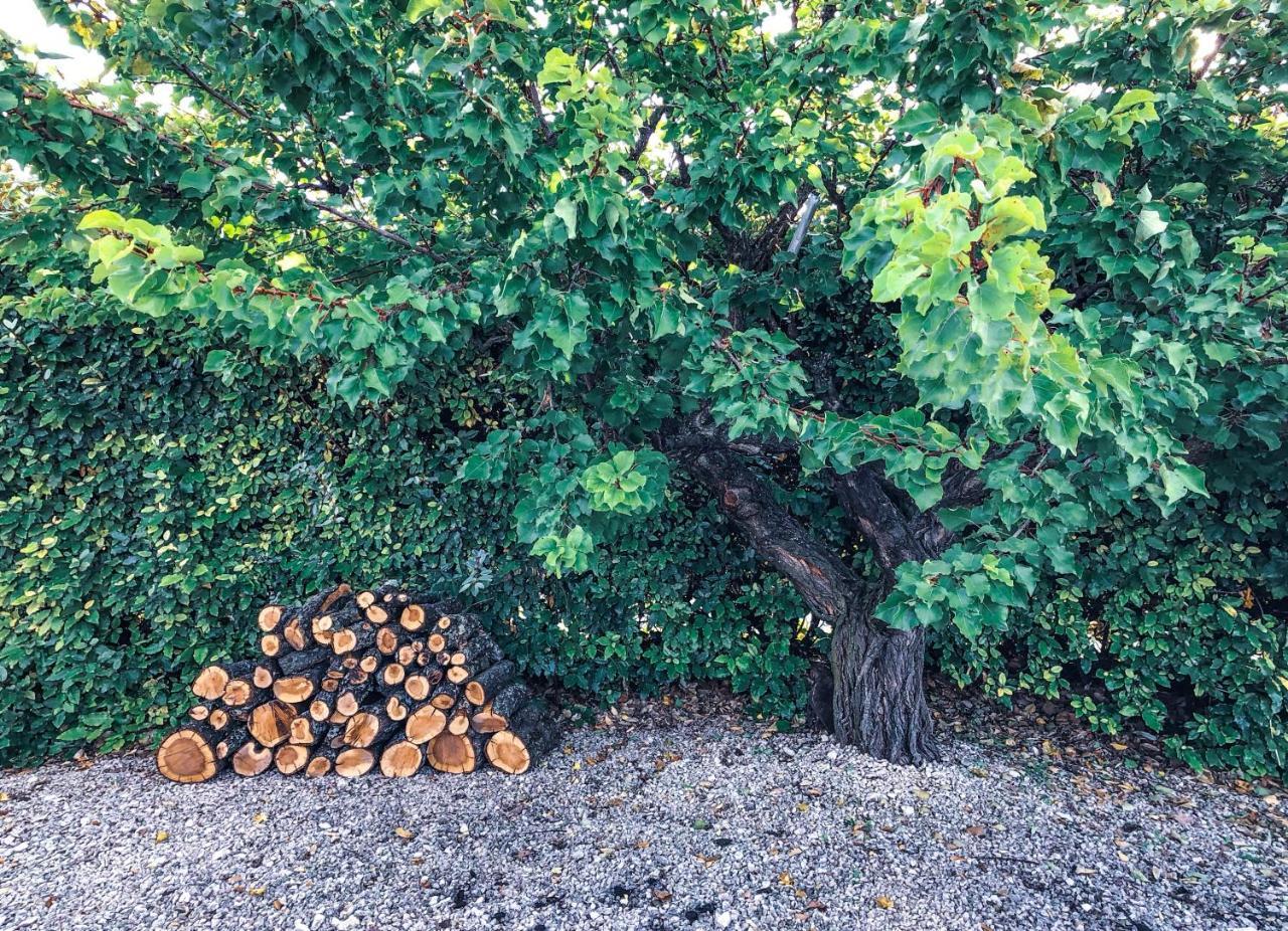 Villas De La Ferme Du Gros Noyer Malaucène エクステリア 写真